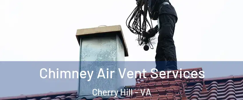 Chimney Air Vent Services Cherry Hill - VA