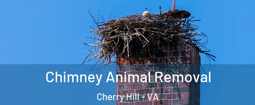 Chimney Animal Removal Cherry Hill - VA