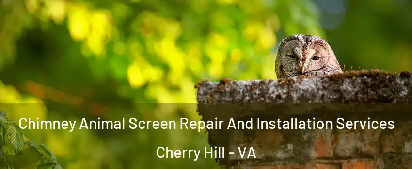 Chimney Animal Screen Repair And Installation Services Cherry Hill - VA