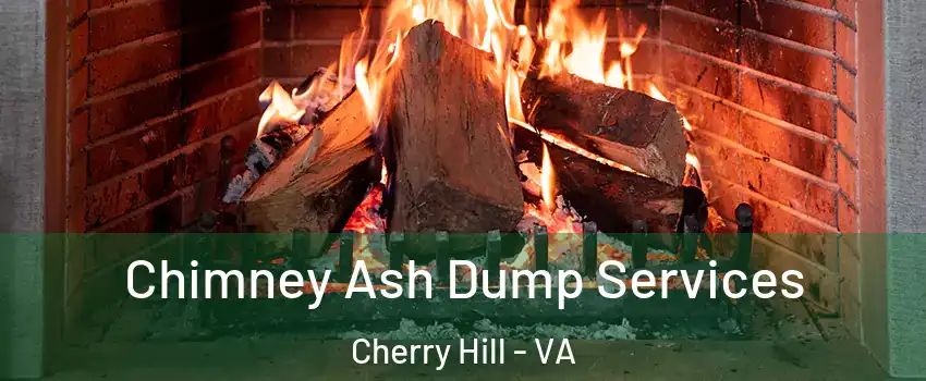 Chimney Ash Dump Services Cherry Hill - VA