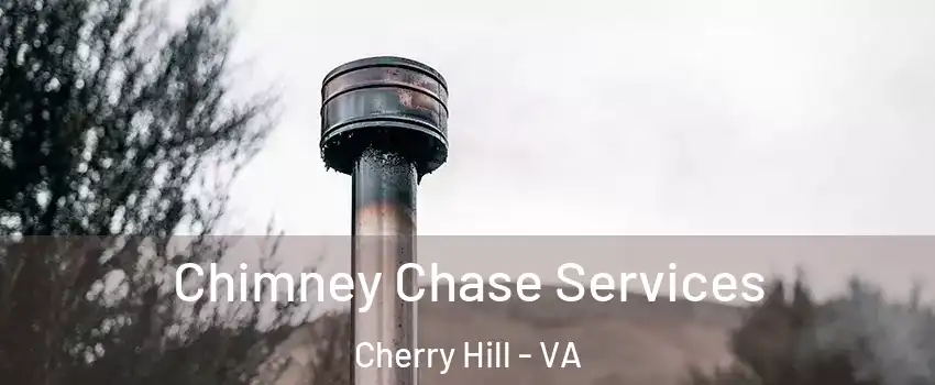 Chimney Chase Services Cherry Hill - VA