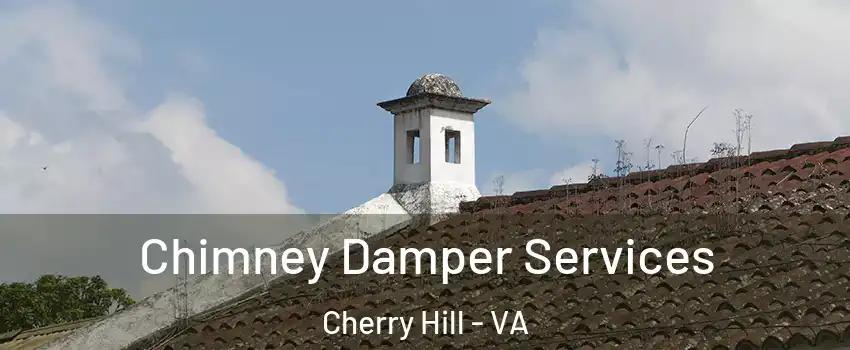 Chimney Damper Services Cherry Hill - VA