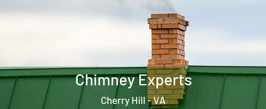 Chimney Experts Cherry Hill - VA