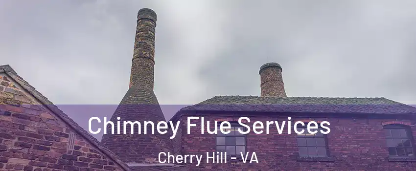 Chimney Flue Services Cherry Hill - VA