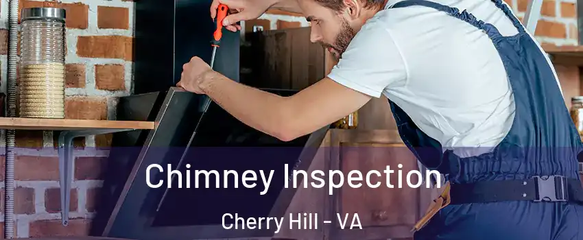 Chimney Inspection Cherry Hill - VA