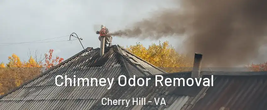Chimney Odor Removal Cherry Hill - VA