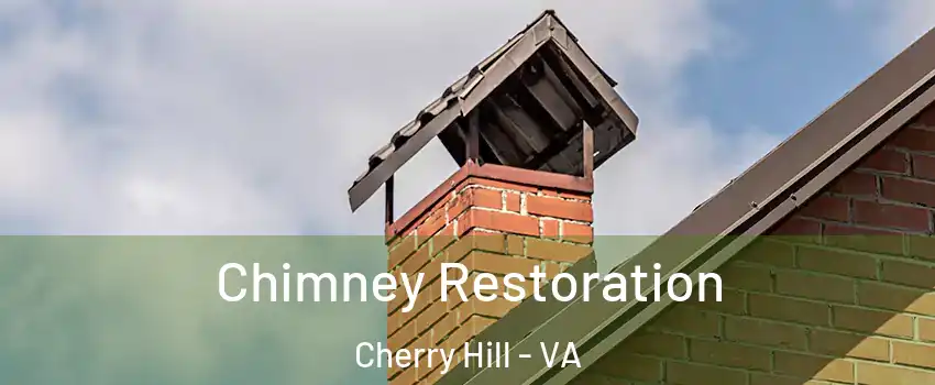 Chimney Restoration Cherry Hill - VA