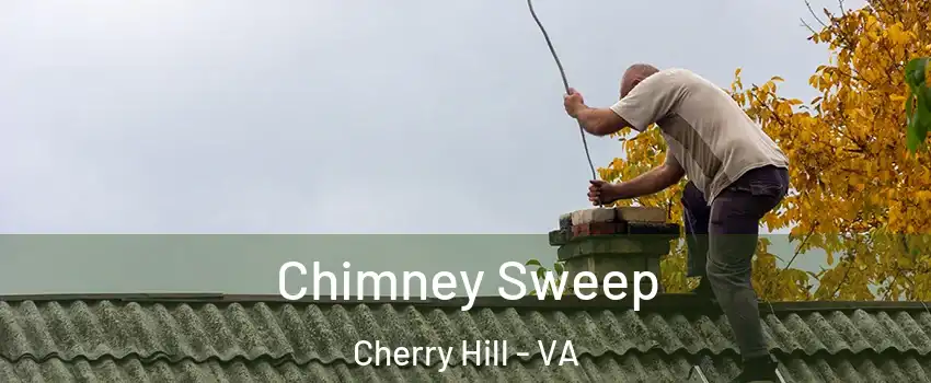 Chimney Sweep Cherry Hill - VA