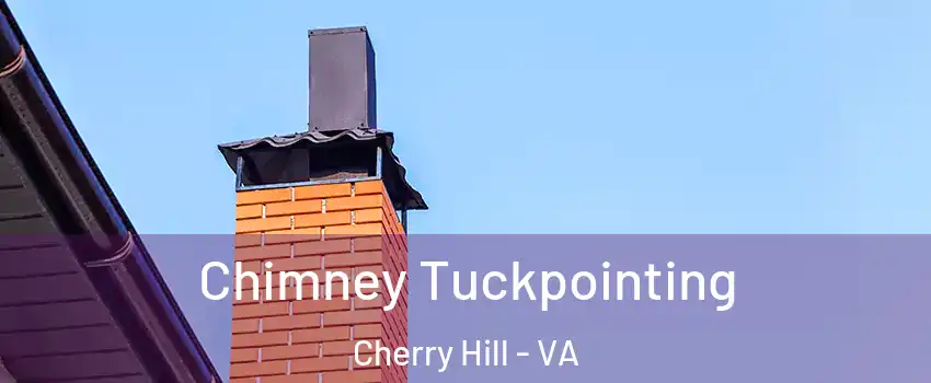 Chimney Tuckpointing Cherry Hill - VA