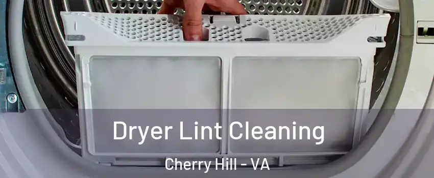 Dryer Lint Cleaning Cherry Hill - VA
