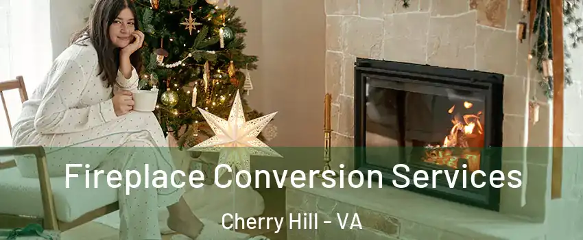 Fireplace Conversion Services Cherry Hill - VA