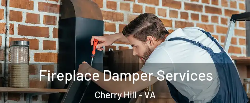 Fireplace Damper Services Cherry Hill - VA