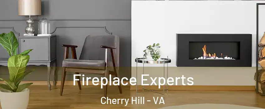 Fireplace Experts Cherry Hill - VA