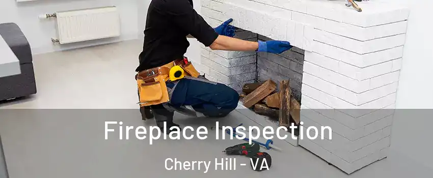 Fireplace Inspection Cherry Hill - VA
