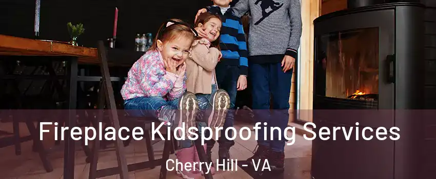  Fireplace Kidsproofing Services Cherry Hill - VA