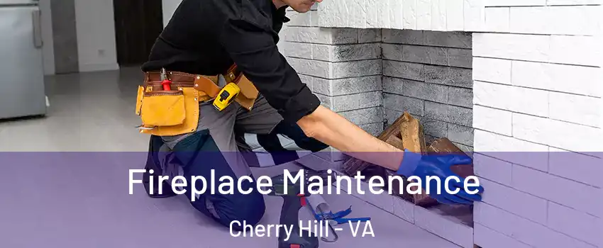  Fireplace Maintenance Cherry Hill - VA