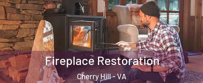 Fireplace Restoration Cherry Hill - VA