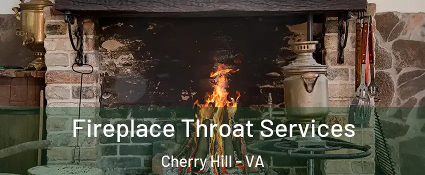 Fireplace Throat Services Cherry Hill - VA