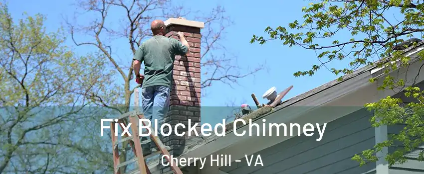  Fix Blocked Chimney Cherry Hill - VA