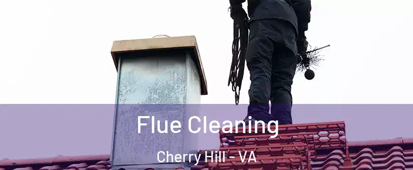 Flue Cleaning Cherry Hill - VA
