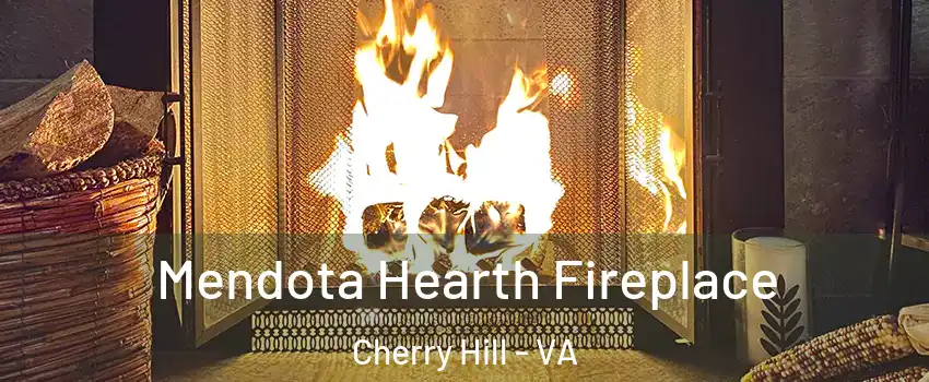  Mendota Hearth Fireplace Cherry Hill - VA