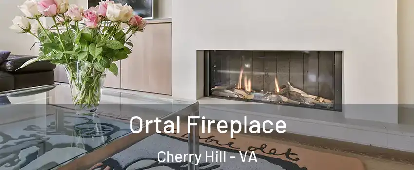 Ortal Fireplace Cherry Hill - VA