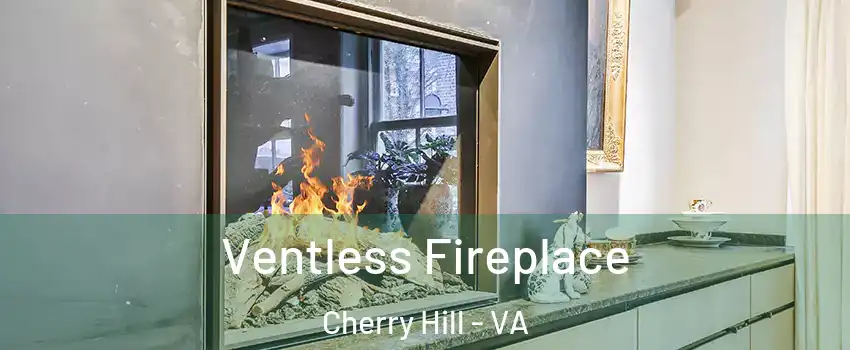 Ventless Fireplace Cherry Hill - VA
